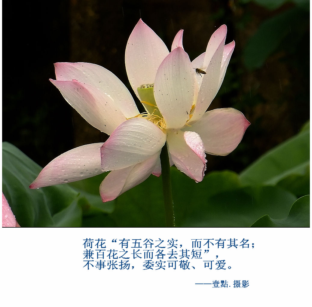 DSCF9323.jpg