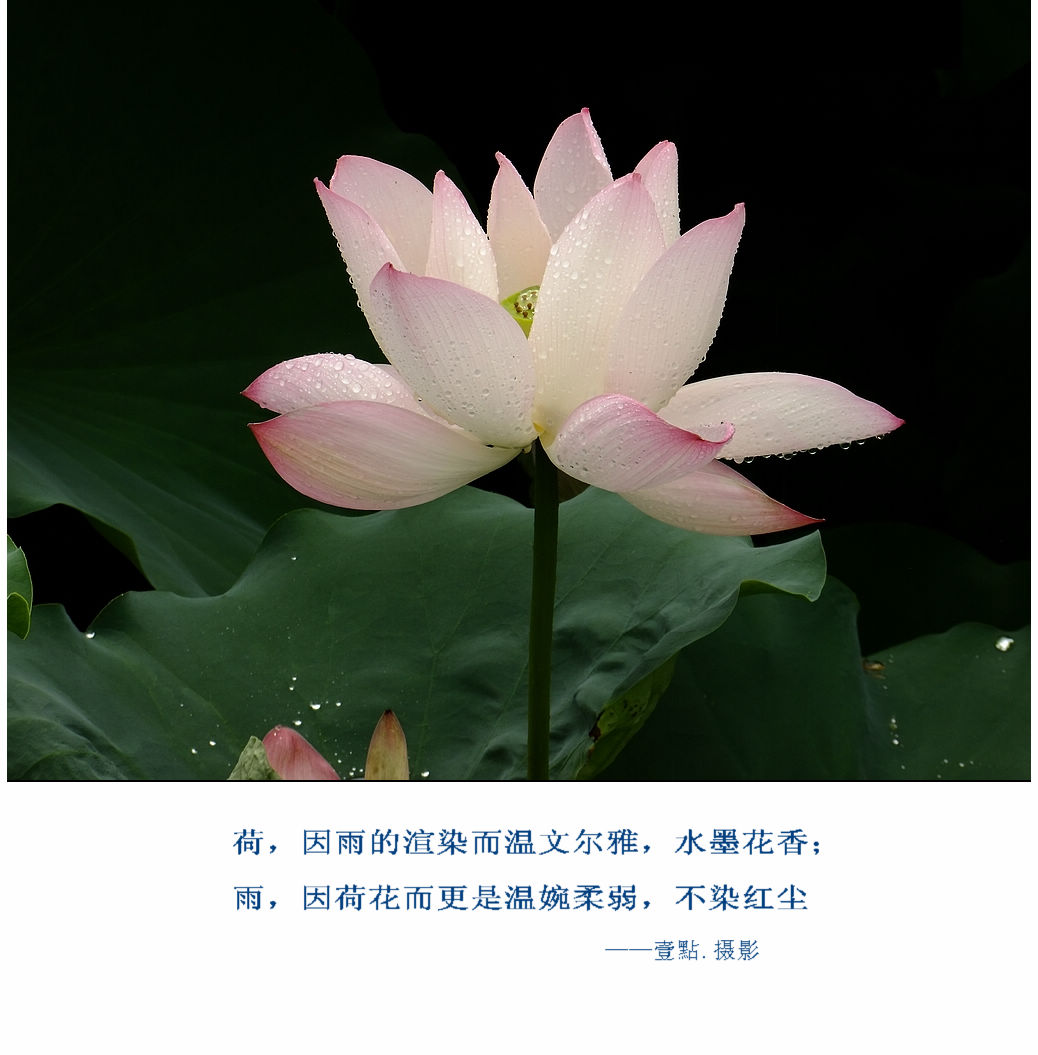 DSCF9331.jpg