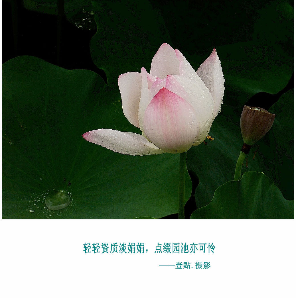 DSCF9234.jpg