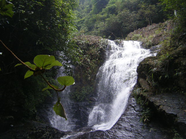 DSCF2155.JPG