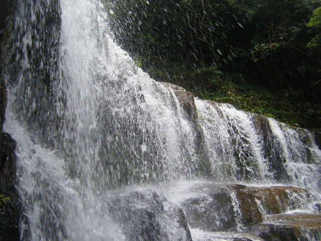 DSCF2149.JPG