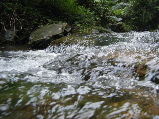 DSCF2164.JPG