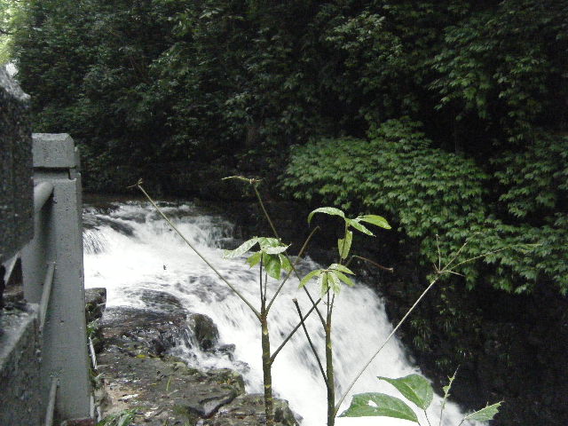 DSCF2183.JPG