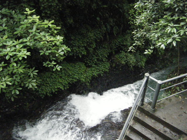 DSCF2181.JPG