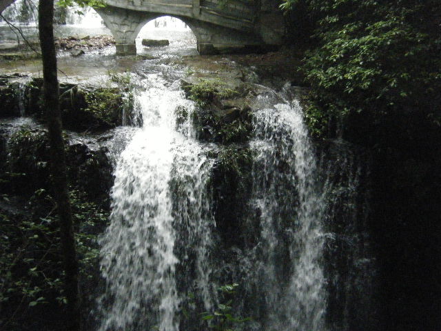 DSCF2179.JPG