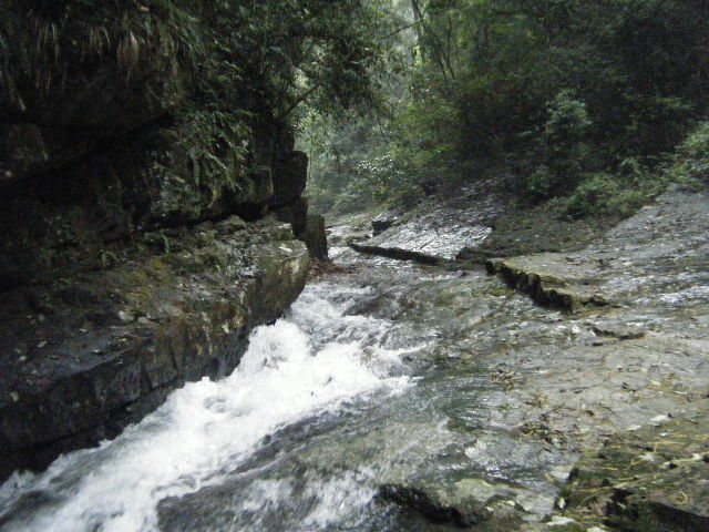 DSCF2176.JPG
