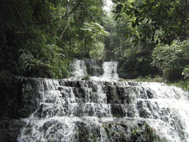 DSCF2171.JPG