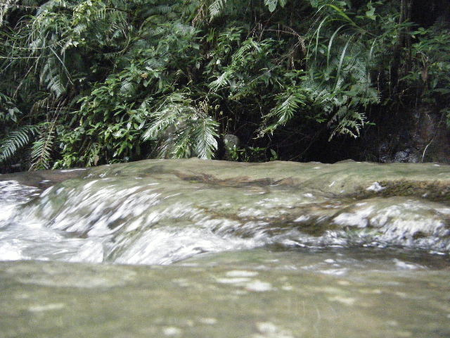 DSCF2168.JPG