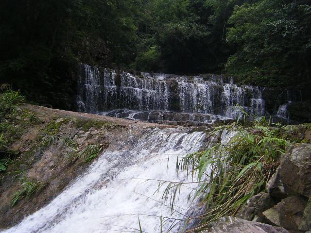 DSCF2139.JPG