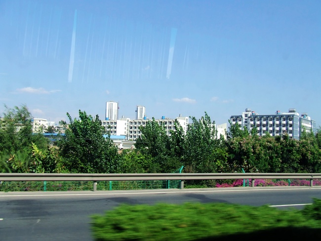 DSCF64950000.jpg