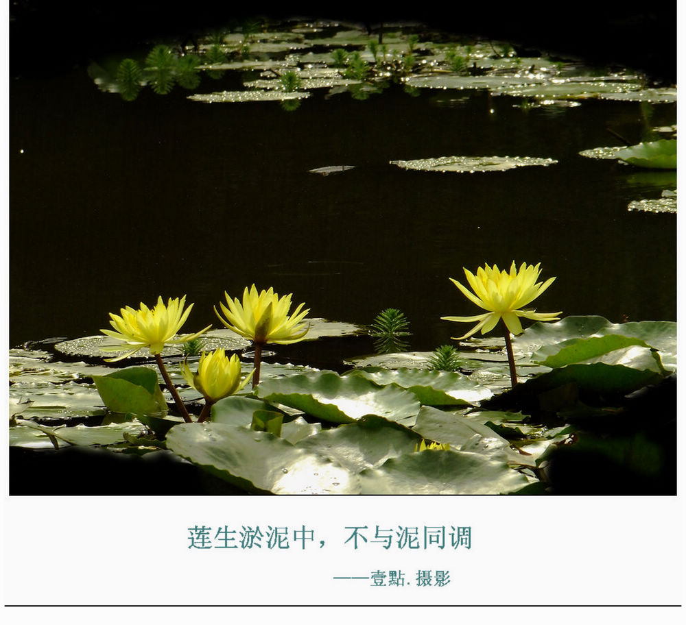 DSCF9495.jpg