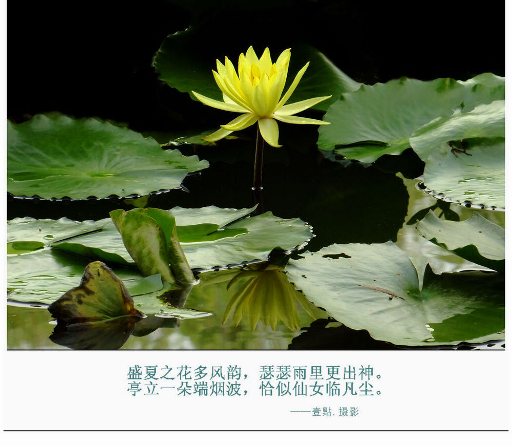 DSCF9542.jpg