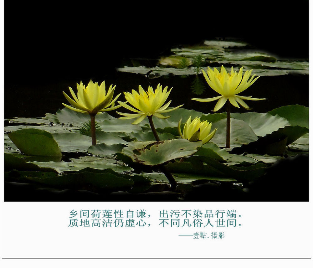 DSCF95051.jpg