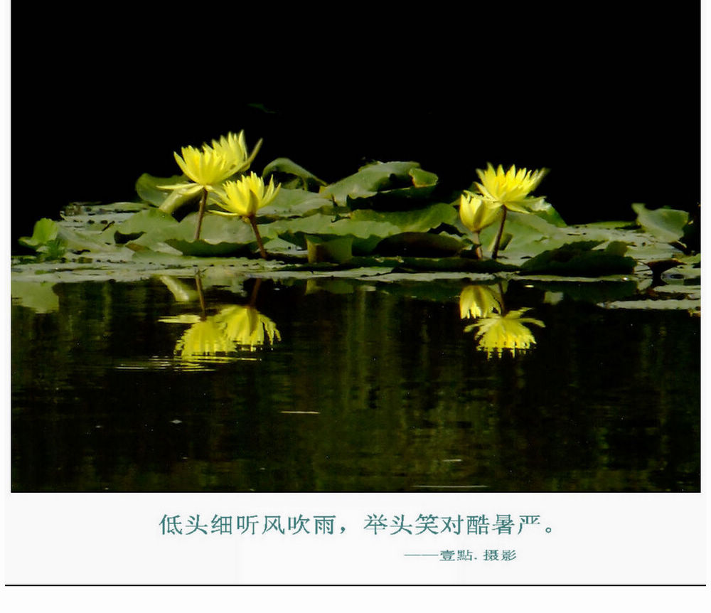DSCF95171.jpg