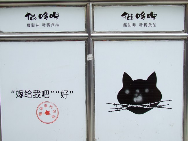 DSCF73600000.jpg