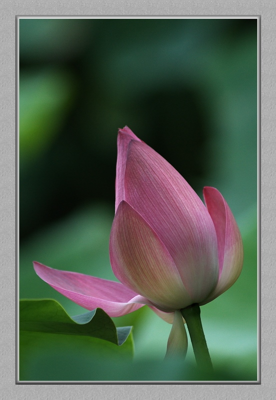 DSC_0023_conew1.jpg