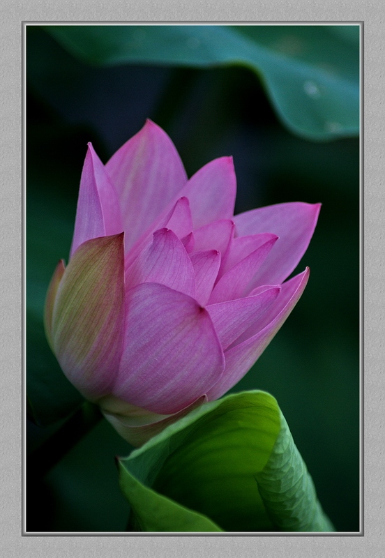 DSC_0042_conew1.jpg