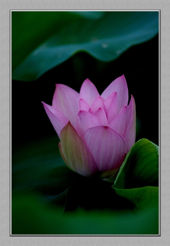 DSC_0043_conew1.jpg