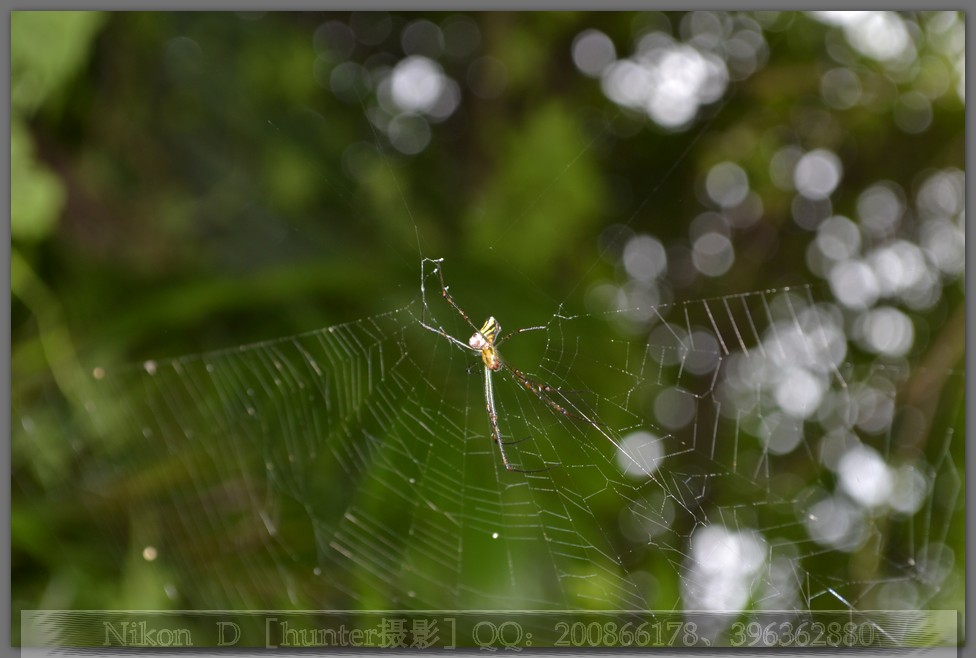 DSC_0370.jpg