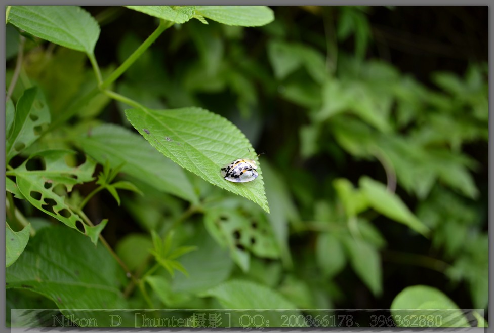DSC_0422.jpg