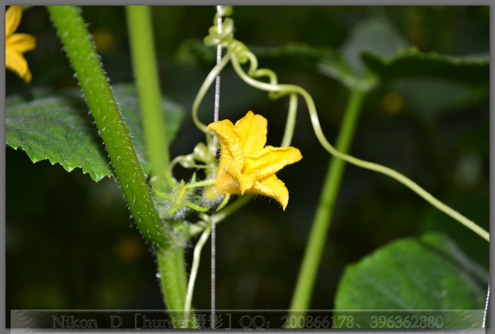 DSC_0568.jpg