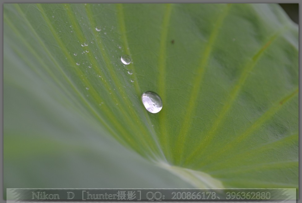 DSC_0578.jpg