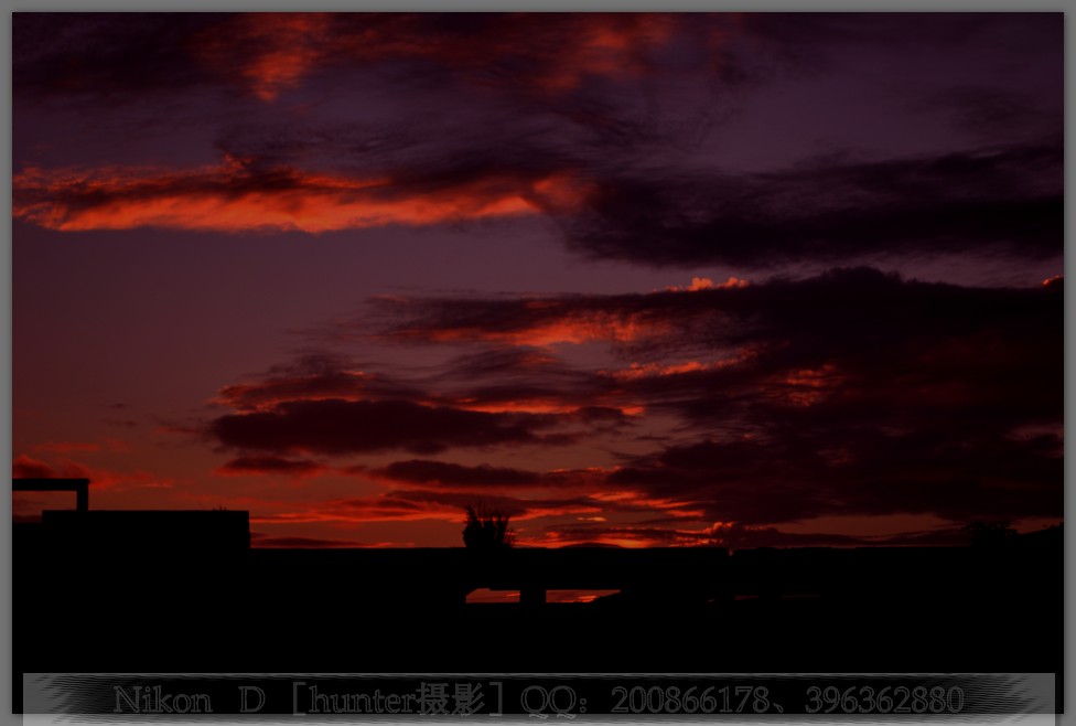 DSC_1200-0.jpg