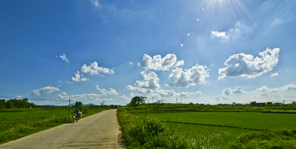 DSC05635.jpg