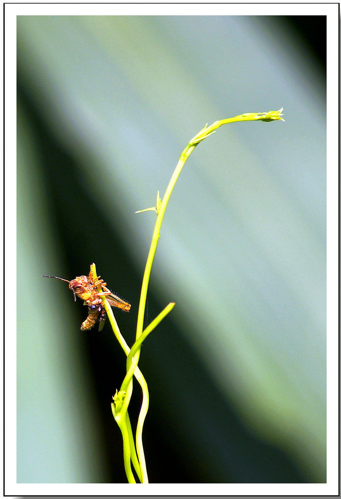 DSC00020_副本_副本.JPG