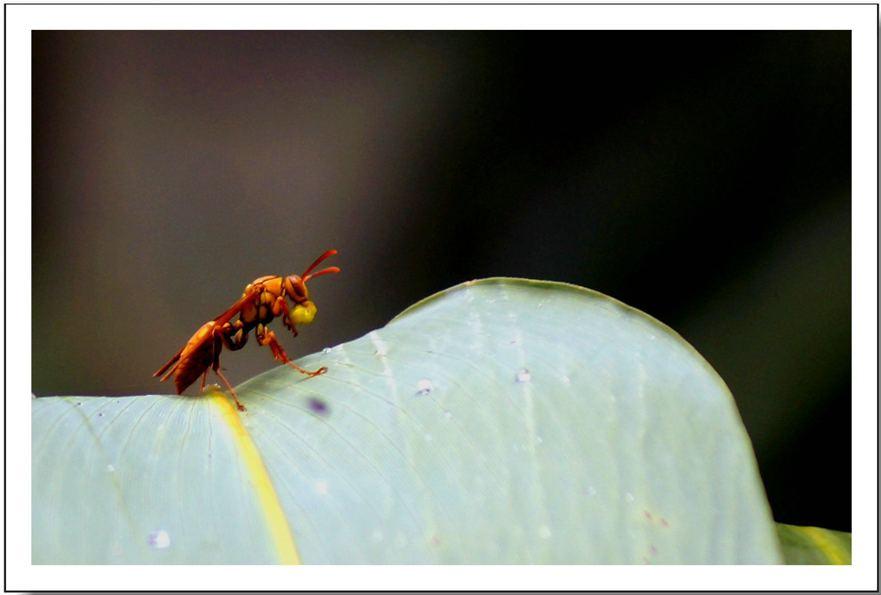 DSC00067_副本.JPG