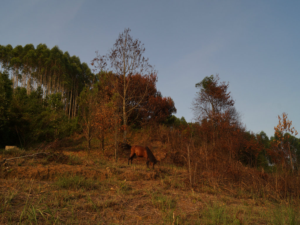 DSC00059.JPG