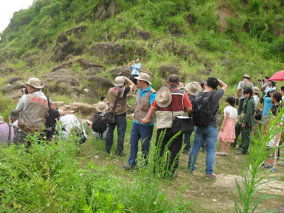 SDC14597.JPG