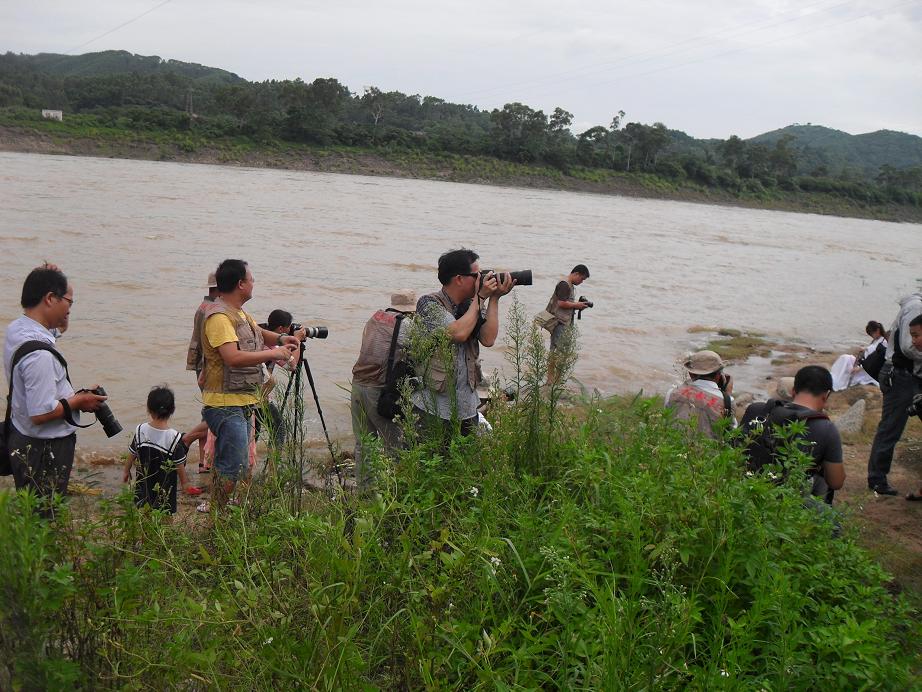 SDC14603.JPG