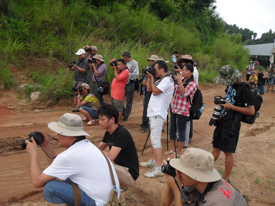 SDC14721.JPG