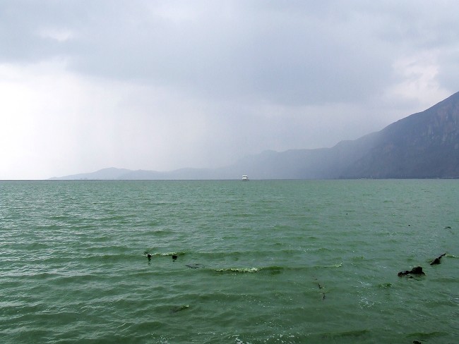 DSCF693100.jpg