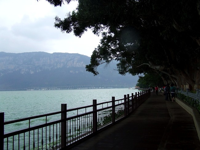 DSCF693500.jpg