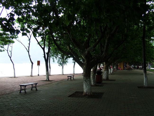 DSCF694300.jpg