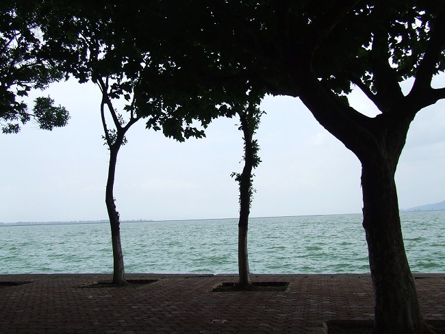 DSCF694400.jpg