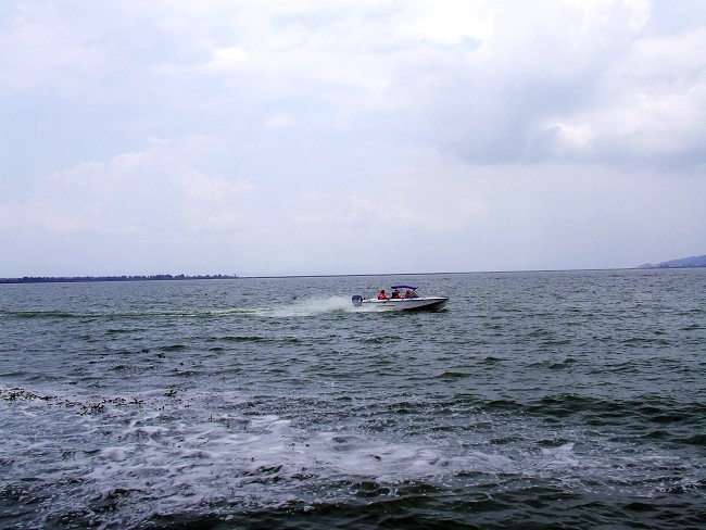 DSCF695000.jpg