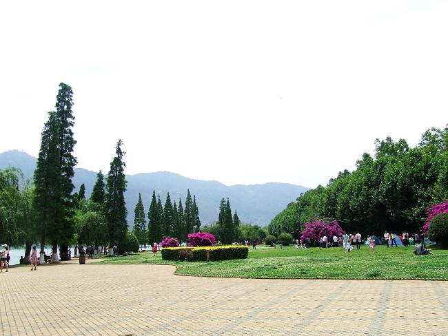 DSCF695700.jpg