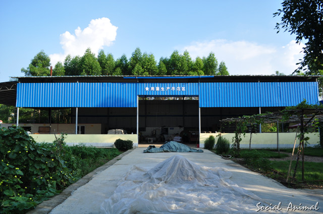 横县科技示范园养鹅场 2012-07-30 019.jpg