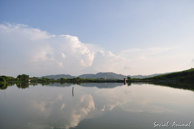 横县科技示范园养鹅场 2012-07-30 027.jpg