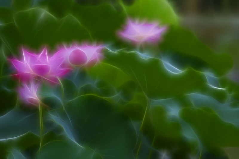 DSC07599.JPG