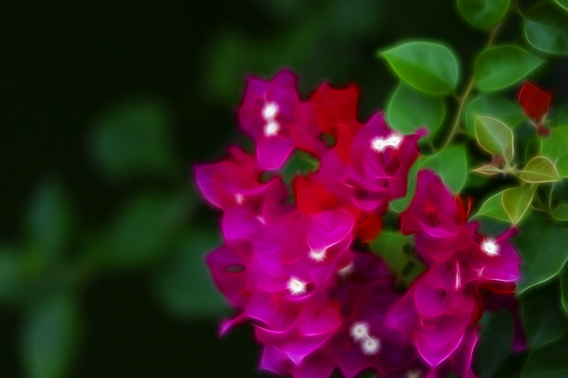 DSC07622.JPG