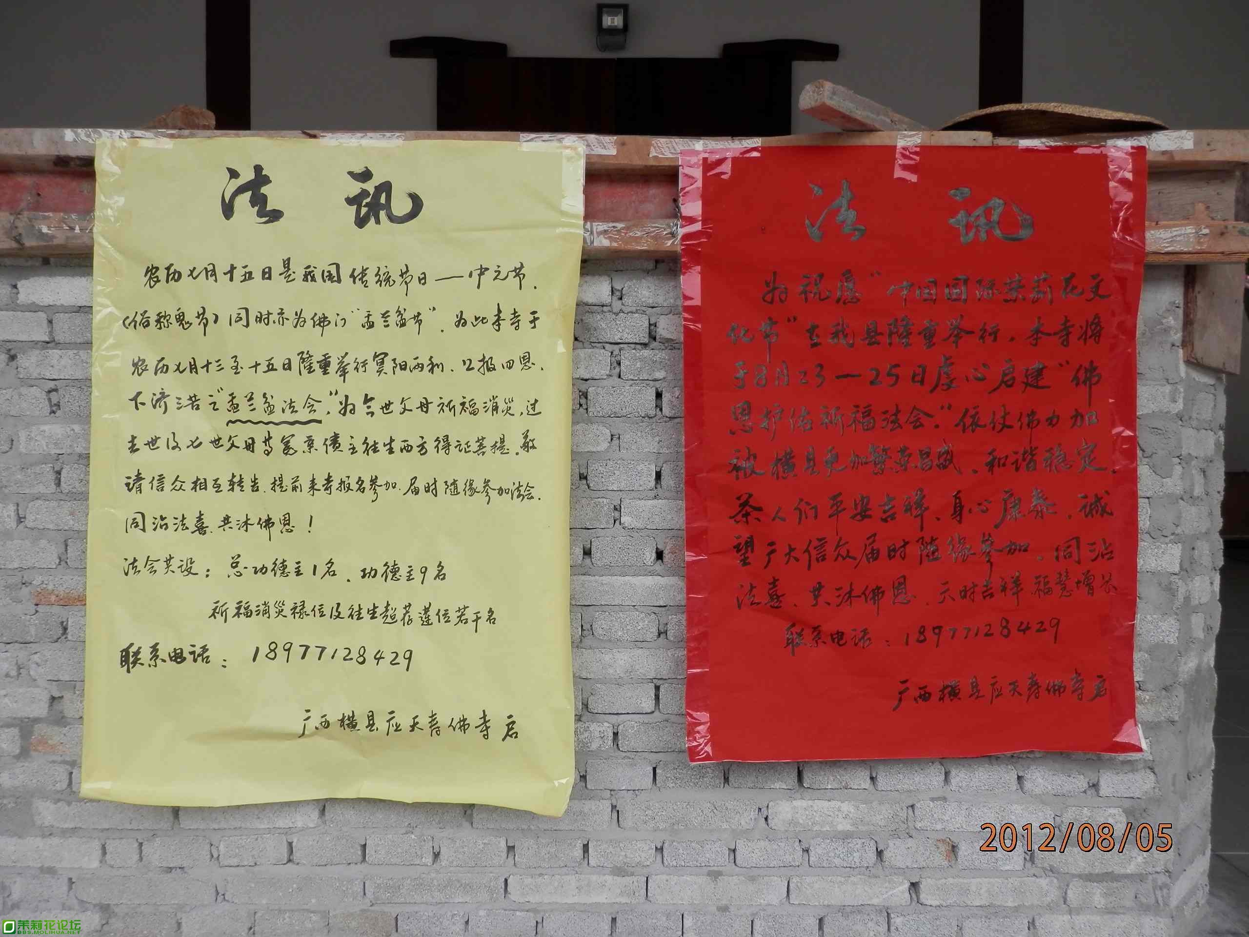 P8051219.JPG