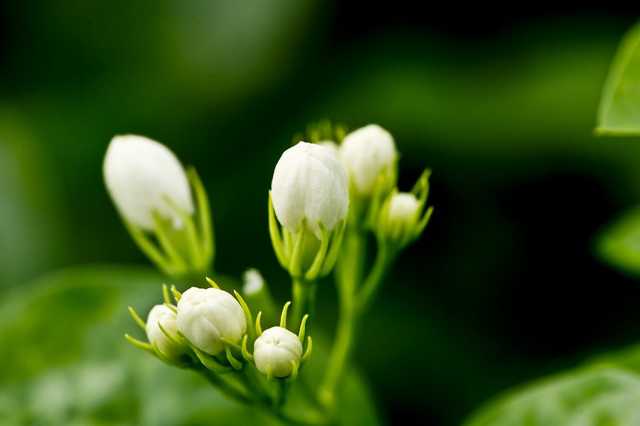 nEO_IMG_DSC_5893.jpg