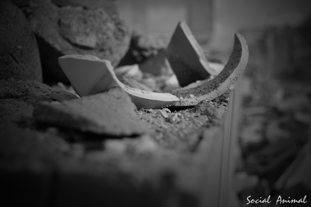 拆迁记 2012-08-12 120.jpg