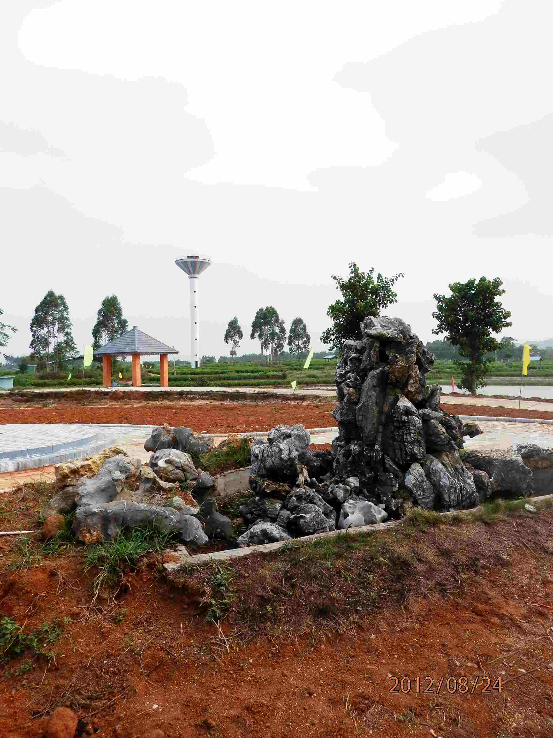 P8241412.JPG