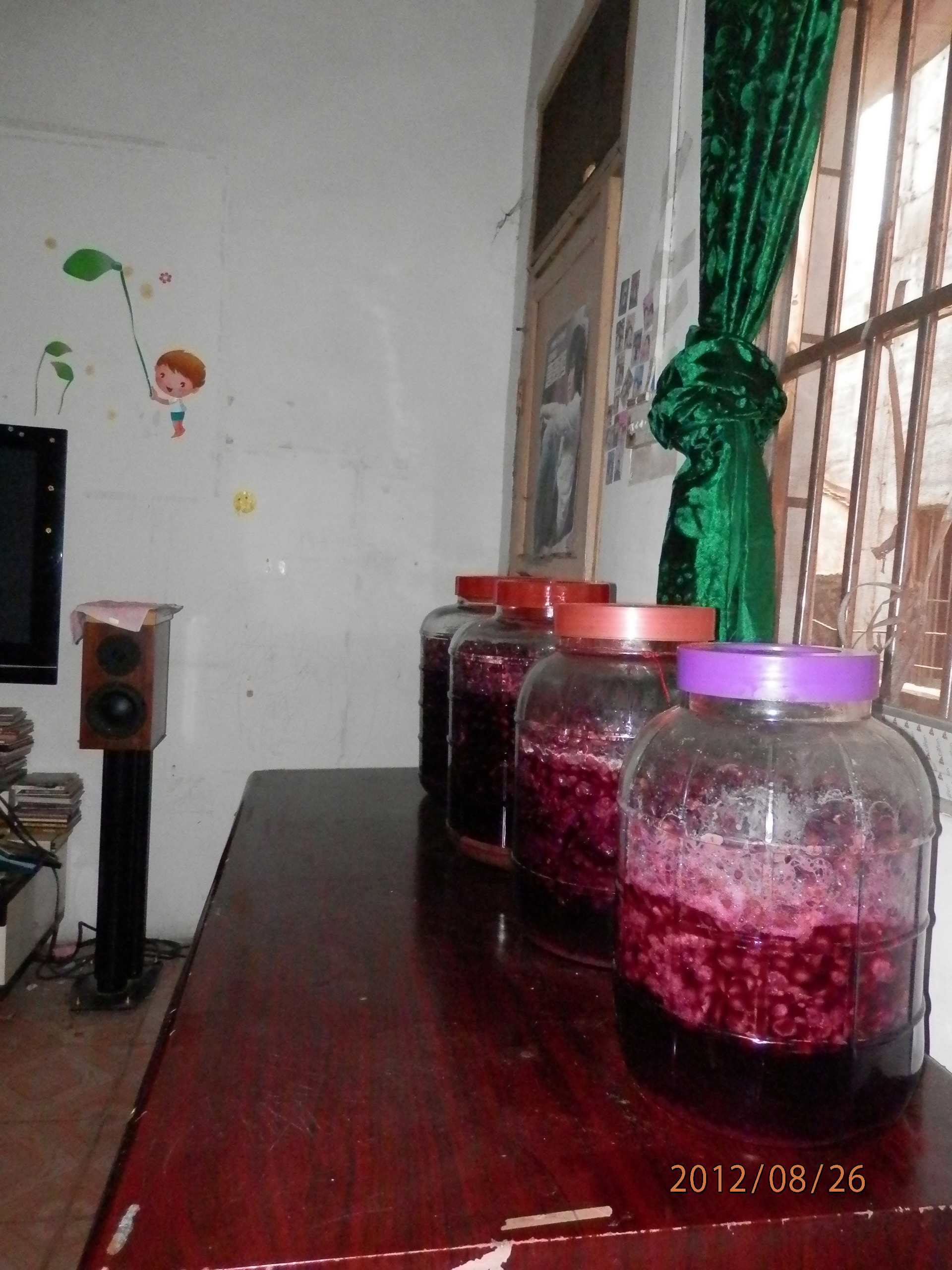 P8261449.JPG