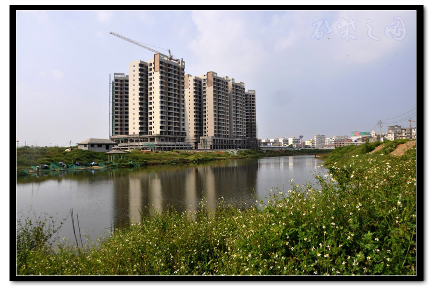 龙池湖畔1a.jpg